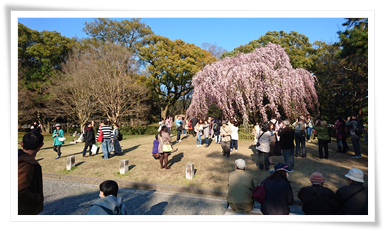 京都御苑