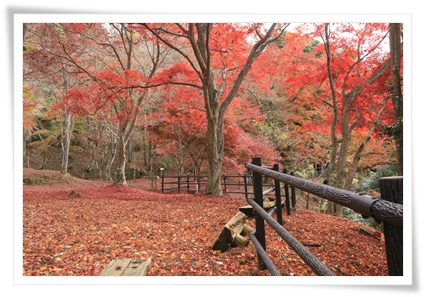 笠置山自然公園