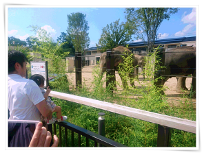 京都動物園