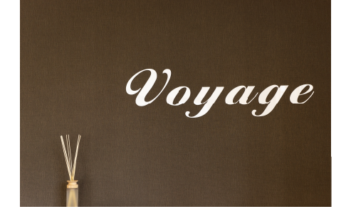 Voyage