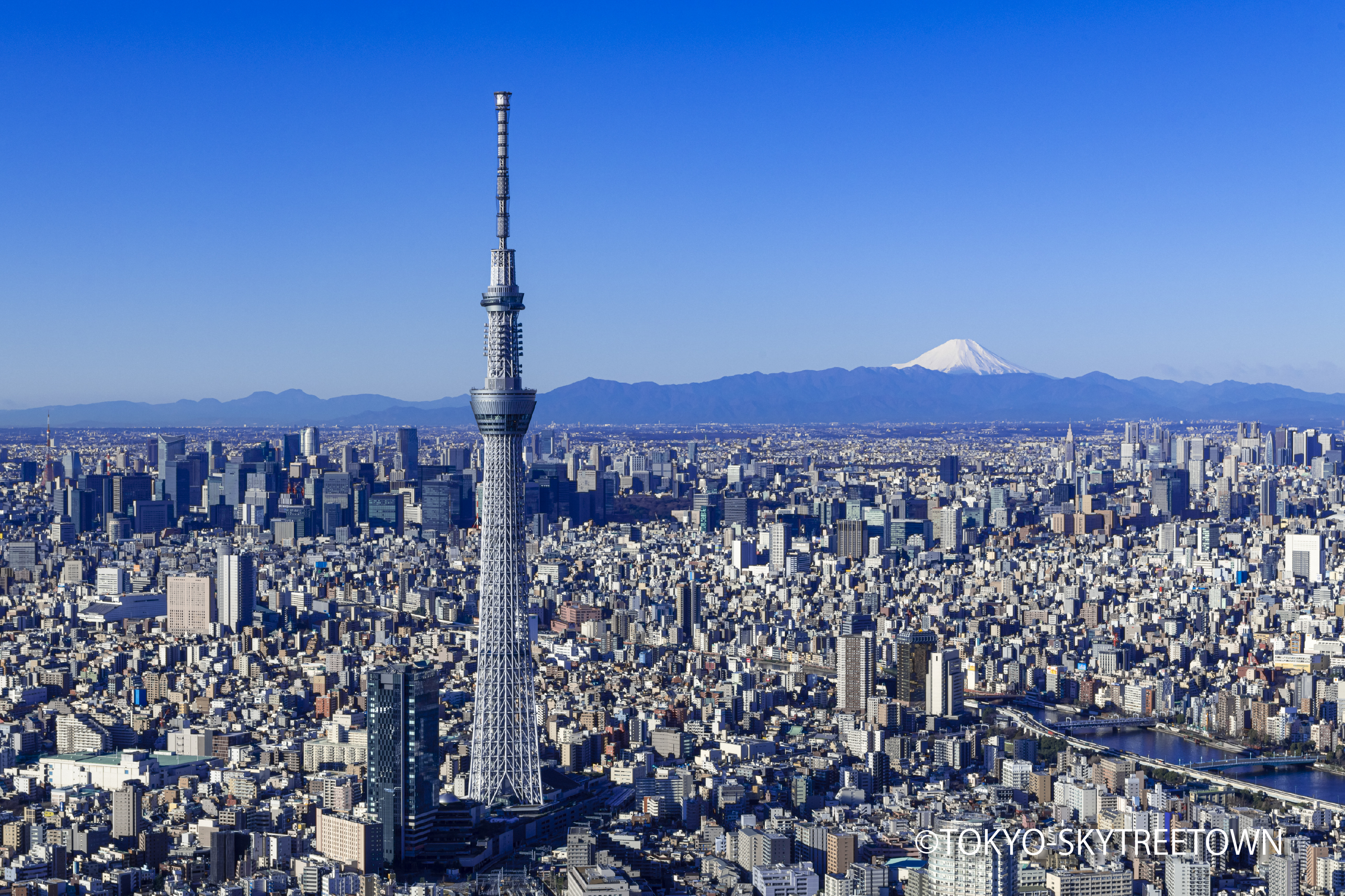 東京スカイツリー様 導入事例